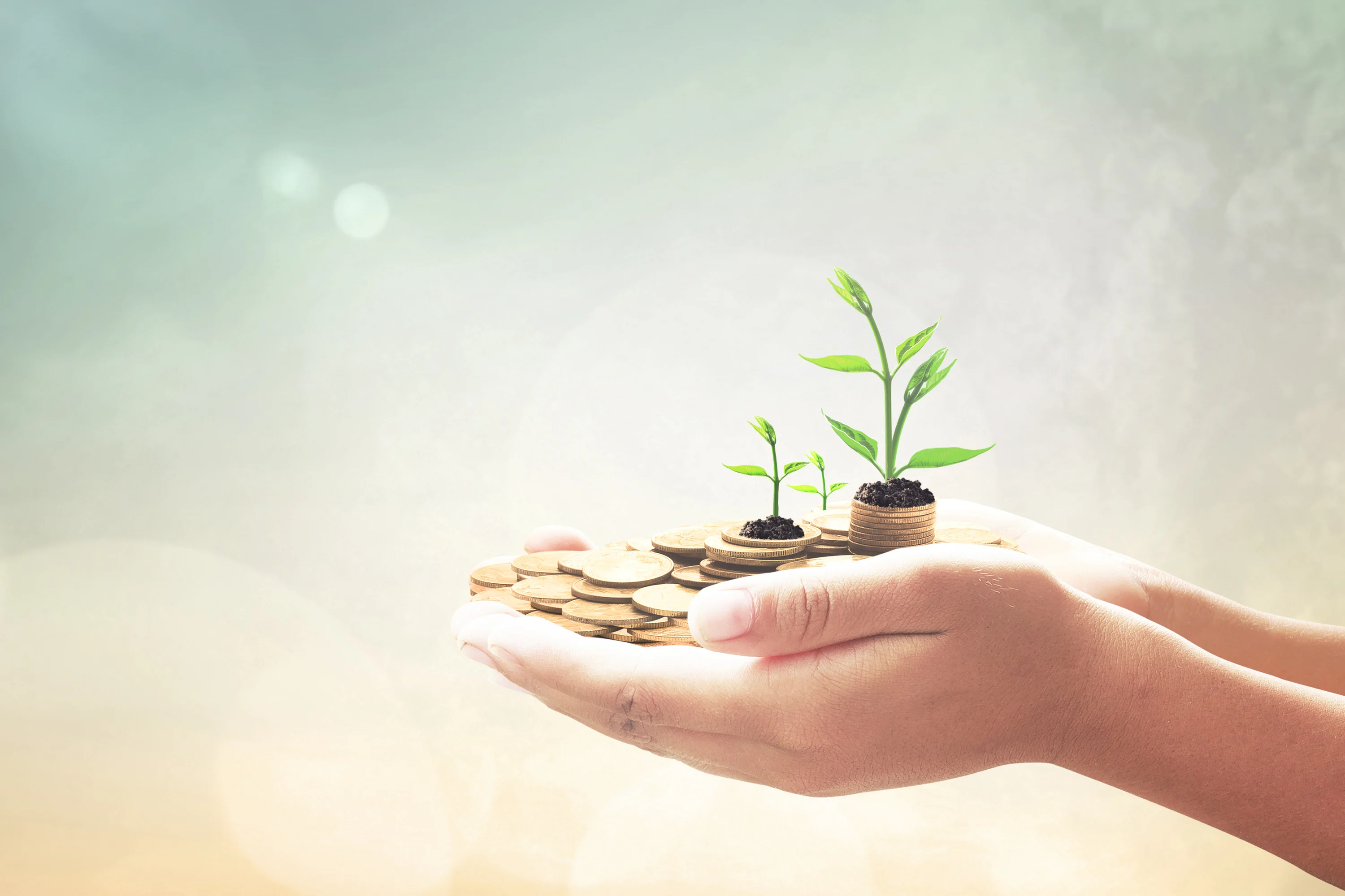 revenue-based-vs-equity-financing-important-differences-to-keep-in-mind